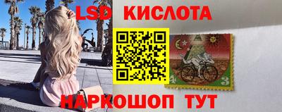 сатива Кимры