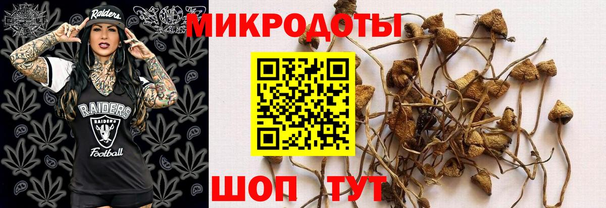 Кохма  Псилоцибиновые грибы мухоморы  Вход с VPN  цена наркотик  Галлюциногенные грибы ЛСД 
