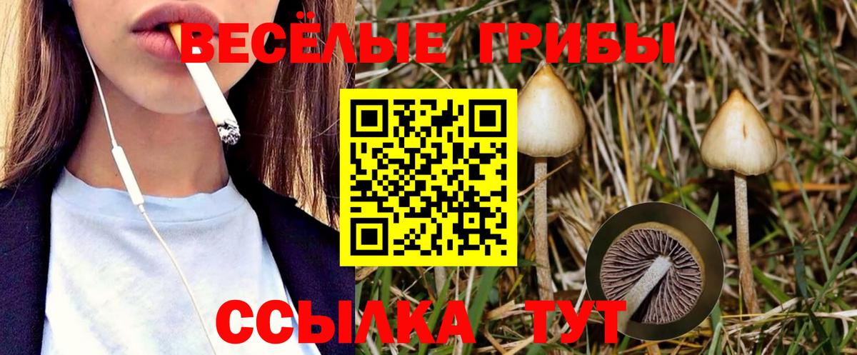 КЕТАМИН Кохма